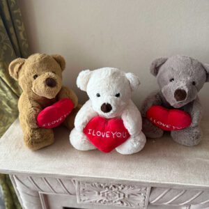 Teddy Bear with ”I Love You”Heart