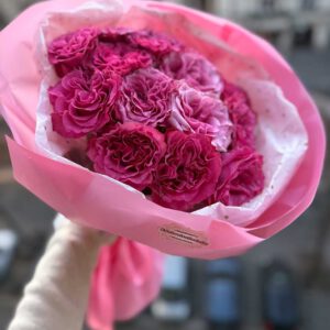 🌸 Lace Dream — ✨Premium "Country Blues" Garden Roses