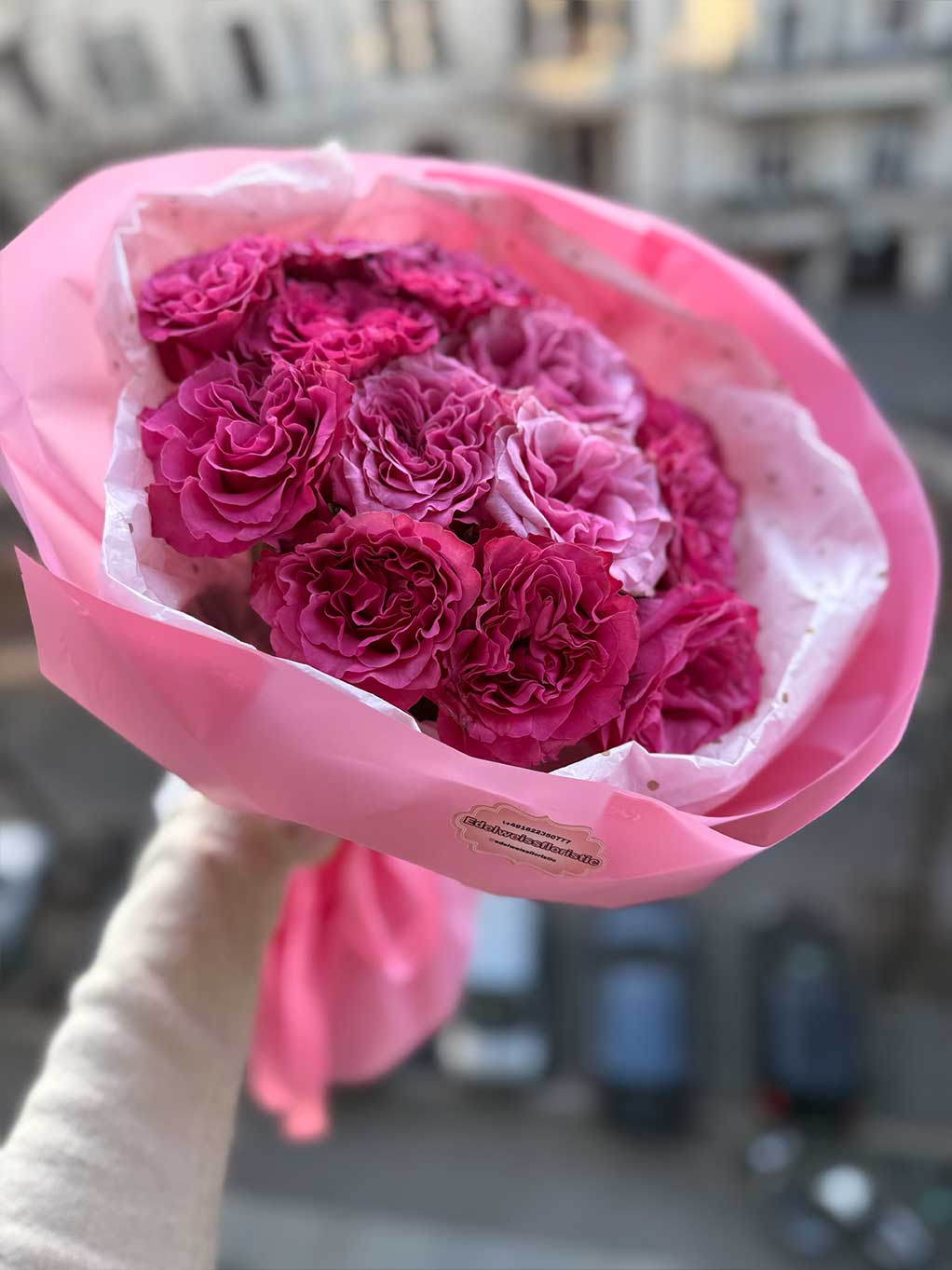 ๐ธ Lace Dream โ โจPremium "Country Blues" Garden Roses